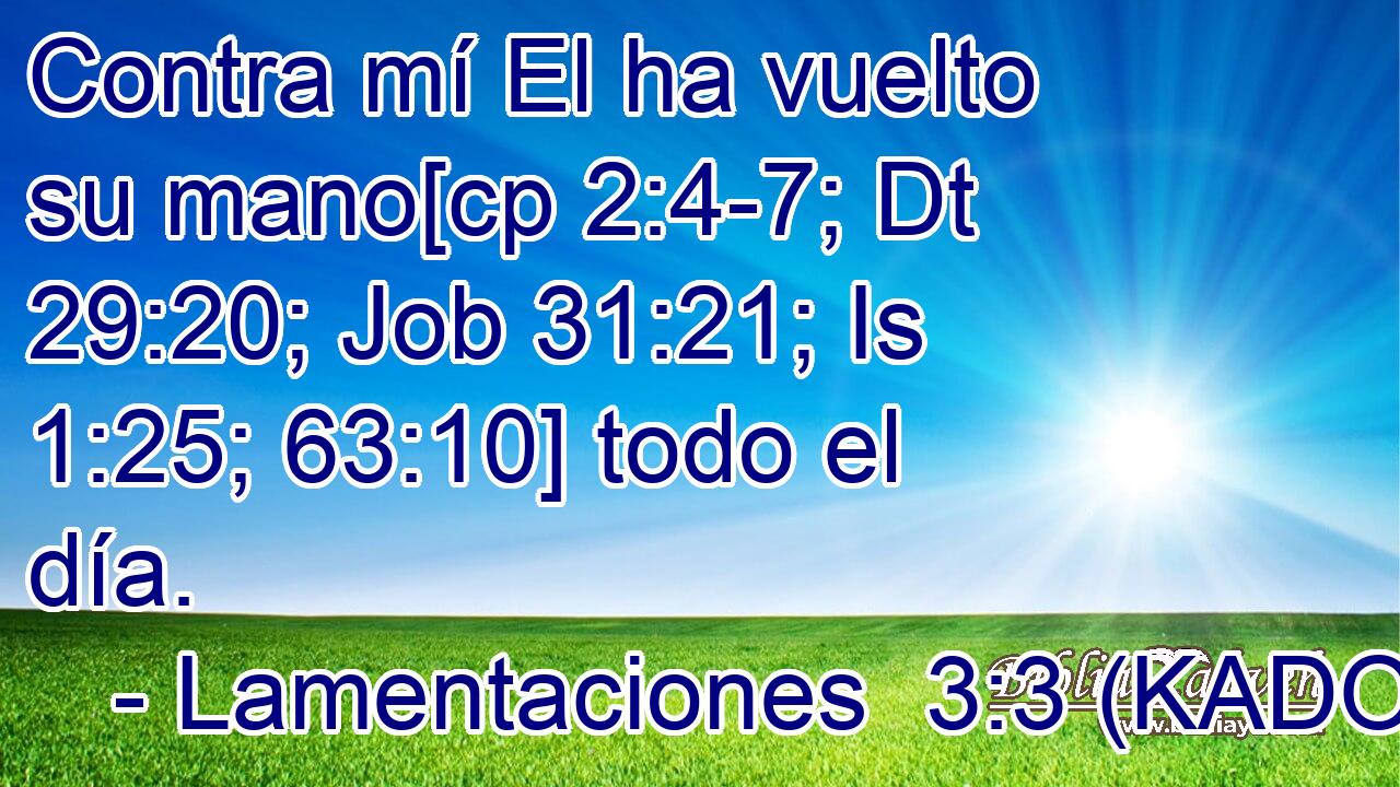  Contra mí El ha vuelto su mano[cp 2:4-7; Dt 29:20; Job 31:21; Is 1:25; 63:10] todo el día. 