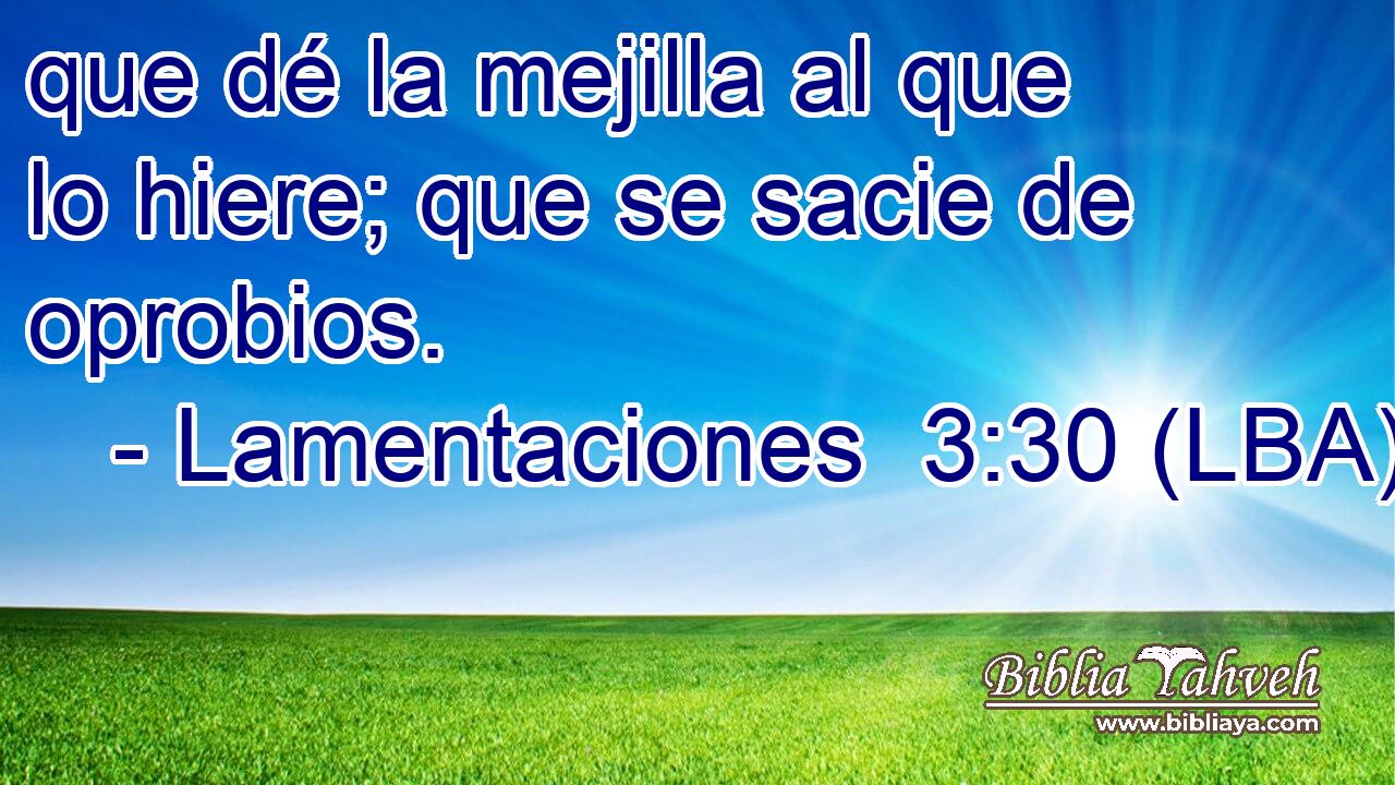que dé la mejilla al que lo hiere; que se sacie de oprobios.