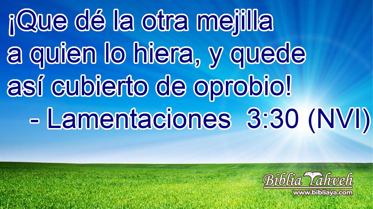  ¡Que dé la otra mejilla a quien lo hiera, y quede así cubierto de oprobio! 