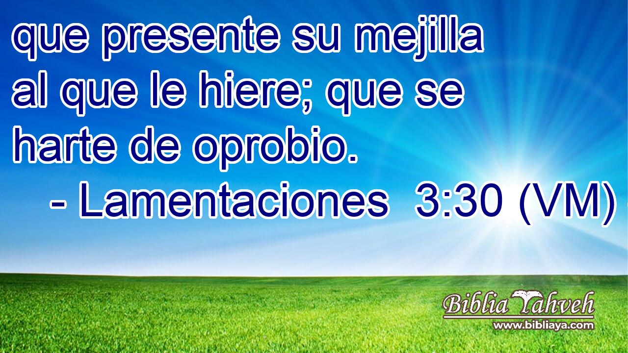  que presente su mejilla al que le hiere; que se harte de oprobio. 