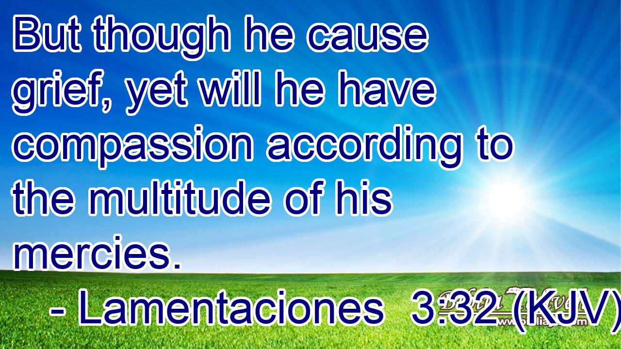 But though he cause grief, yet will he have compassion according to the multitude of his mercies.