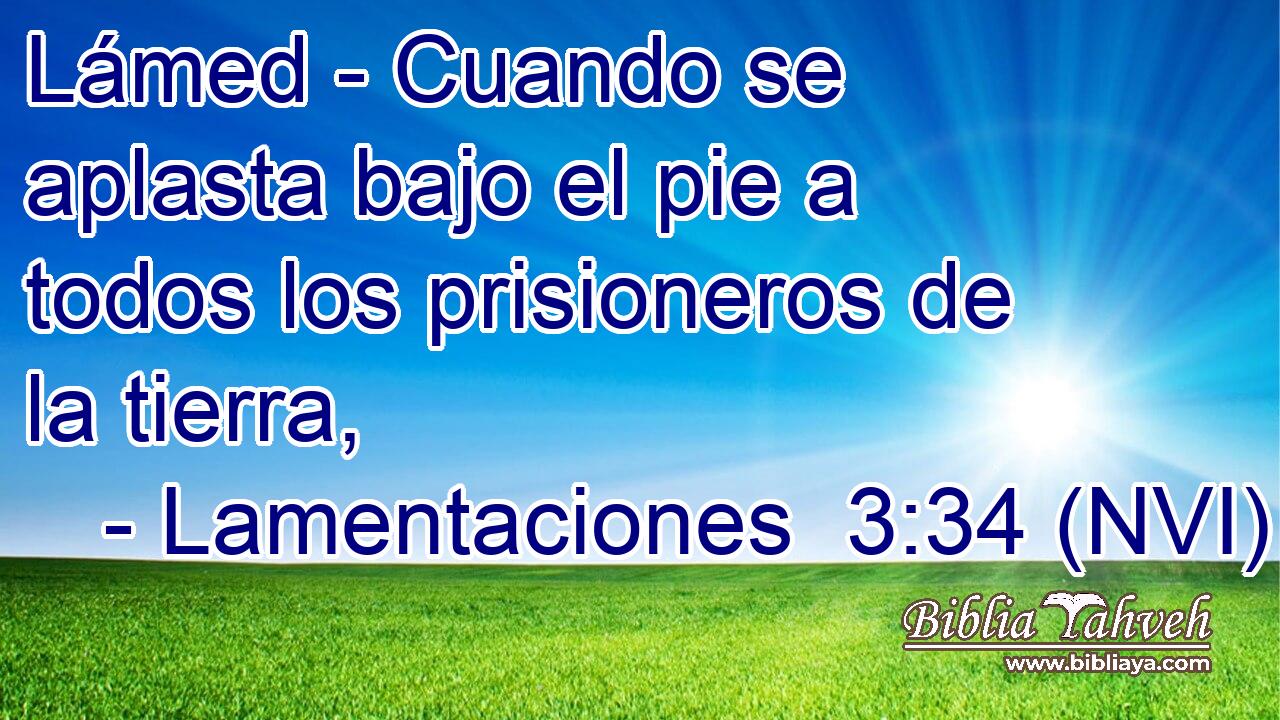  Lámed - Cuando se aplasta bajo el pie a todos los prisioneros de la tierra, 