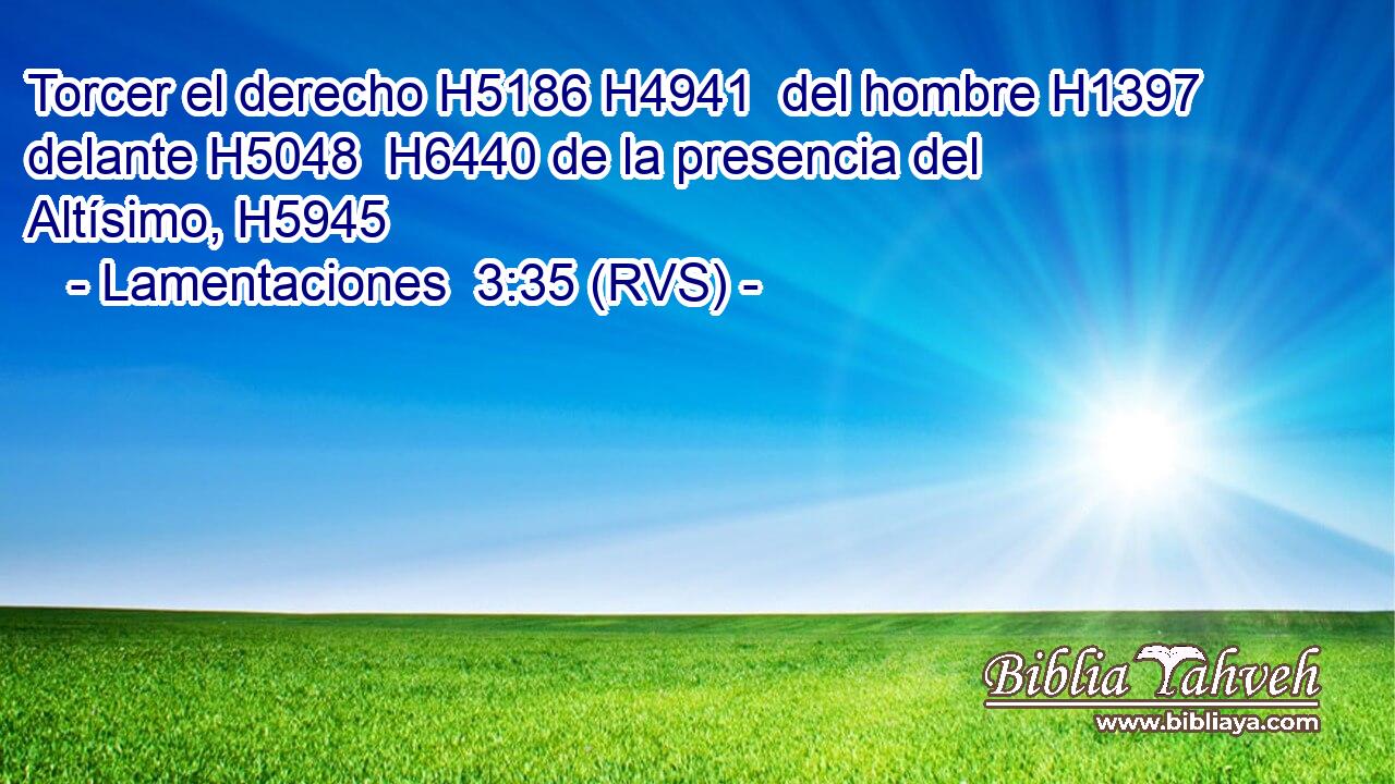 Torcer el derecho H5186 H4941  del hombre H1397  delante H5048  H6440 de la presencia del Altísimo, H5945  