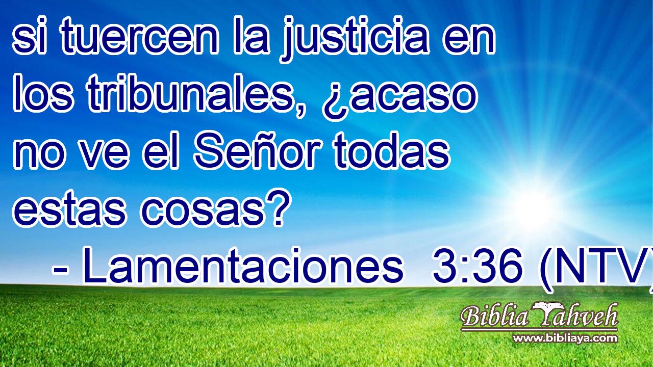 si tuercen la justicia en los tribunales, ¿acaso no ve el Señor todas estas cosas?