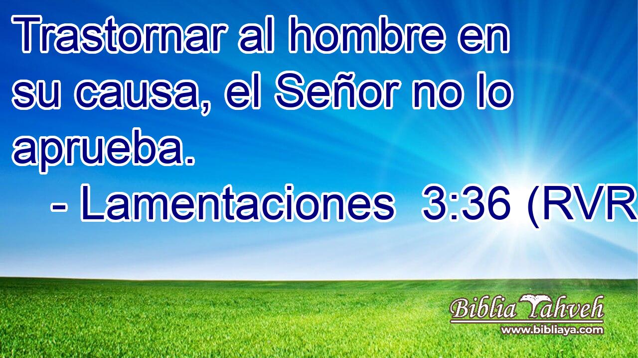 Trastornar al hombre en su causa, el Señor no lo aprueba.