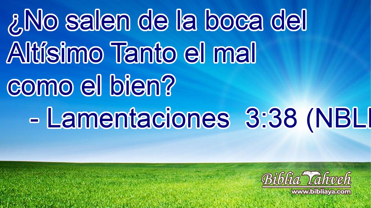  ¿No salen de la boca del Altísimo Tanto el mal como el bien? 