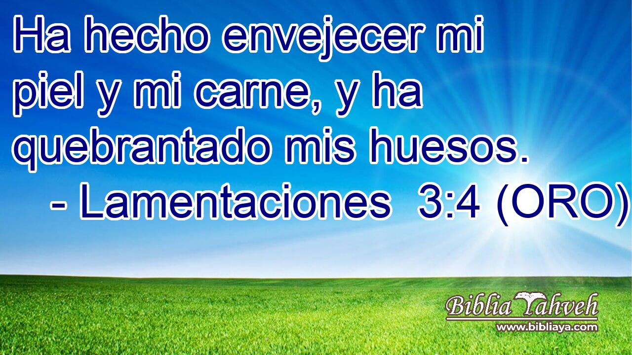  Ha hecho envejecer mi piel y mi carne, y ha quebrantado mis huesos. 
