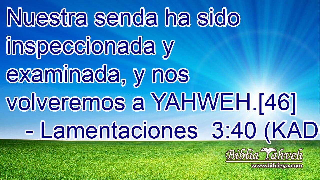  Nuestra senda ha sido inspeccionada y examinada, y nos volveremos a YAHWEH.[46] 