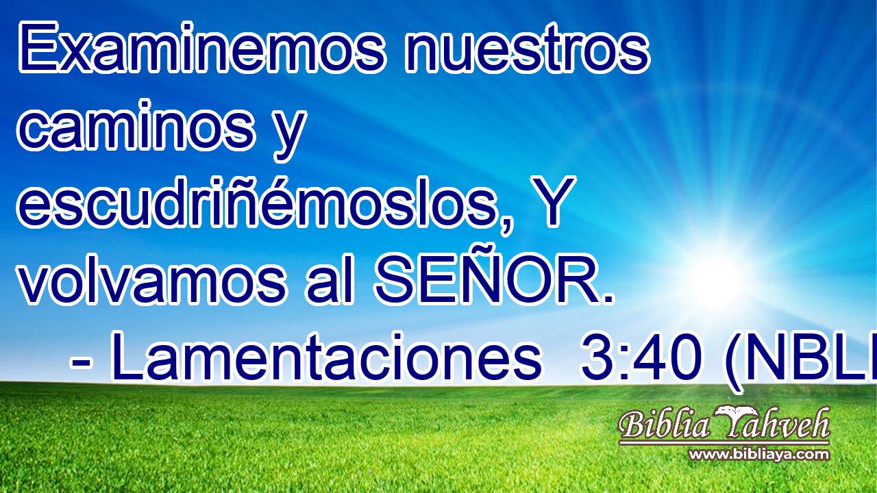 Examinemos nuestros caminos y escudriñémoslos, Y volvamos al SEÑOR. 