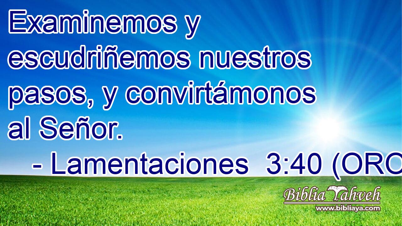  Examinemos y escudriñemos nuestros pasos, y convirtámonos al Señor. 