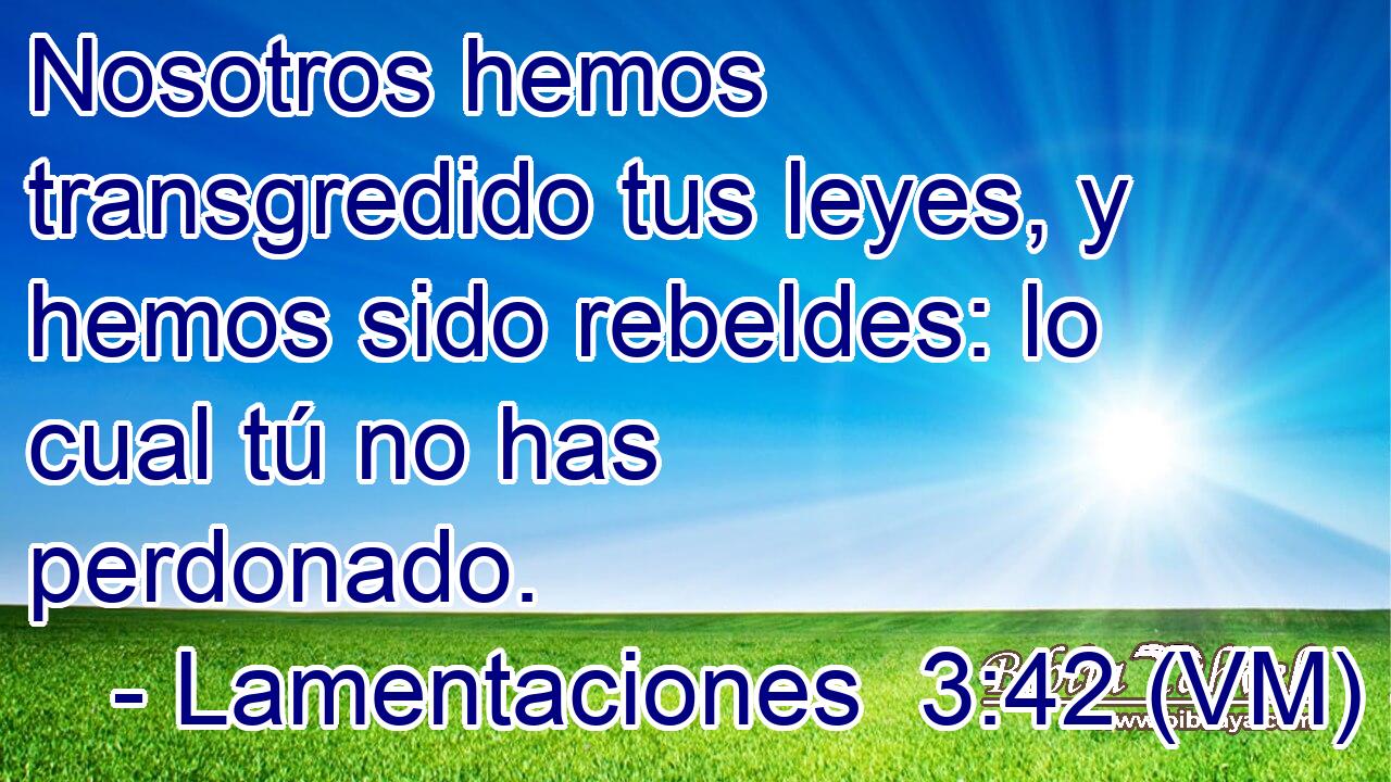  Nosotros hemos transgredido tus leyes, y hemos sido rebeldes: lo cual tú no has perdonado. 