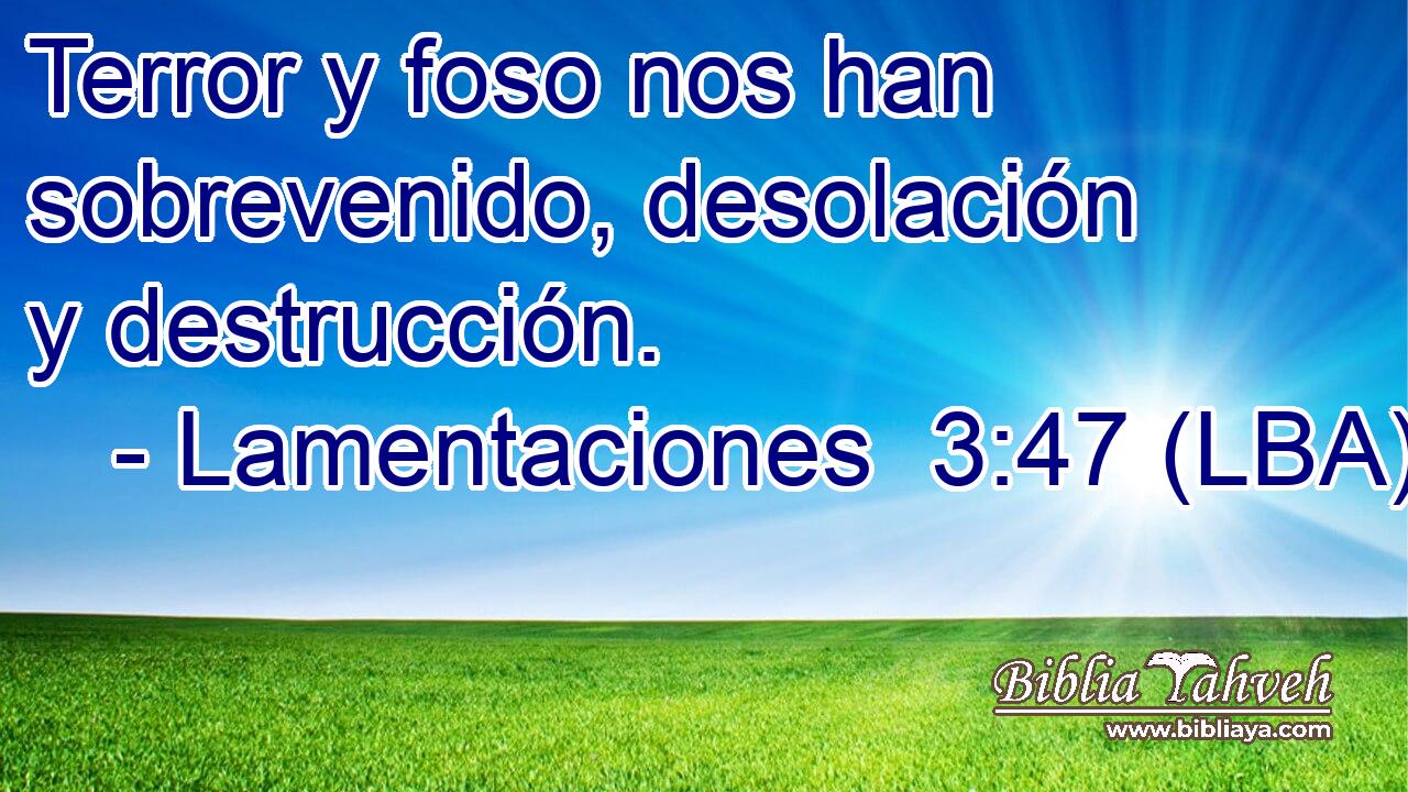 Terror y foso nos han sobrevenido, desolación y destrucción.