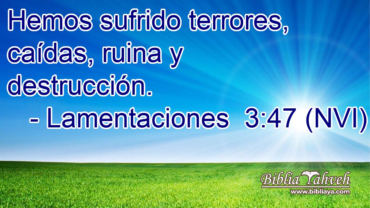  Hemos sufrido terrores, caídas, ruina y destrucción. 