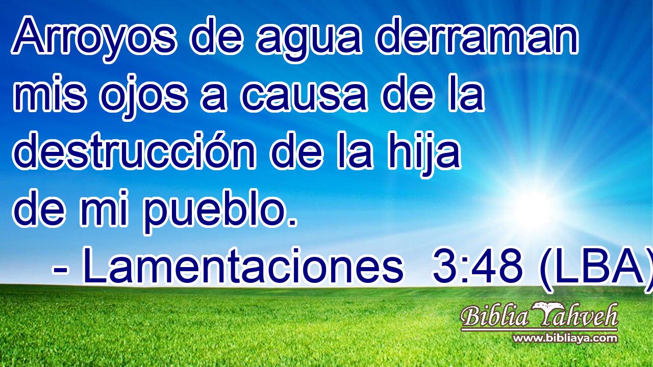 Arroyos de agua derraman mis ojos a causa de la destrucción de la hija de mi pueblo.