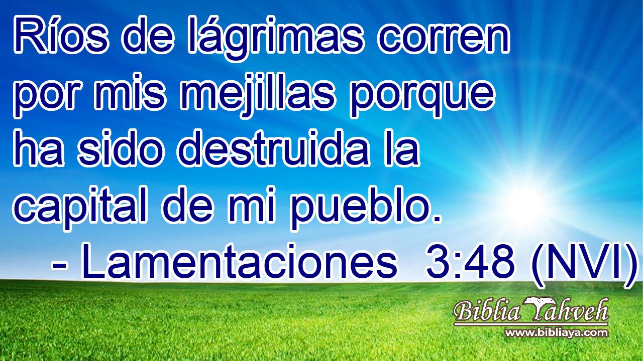  Ríos de lágrimas corren por mis mejillas porque ha sido destruida la capital de mi pueblo. 
