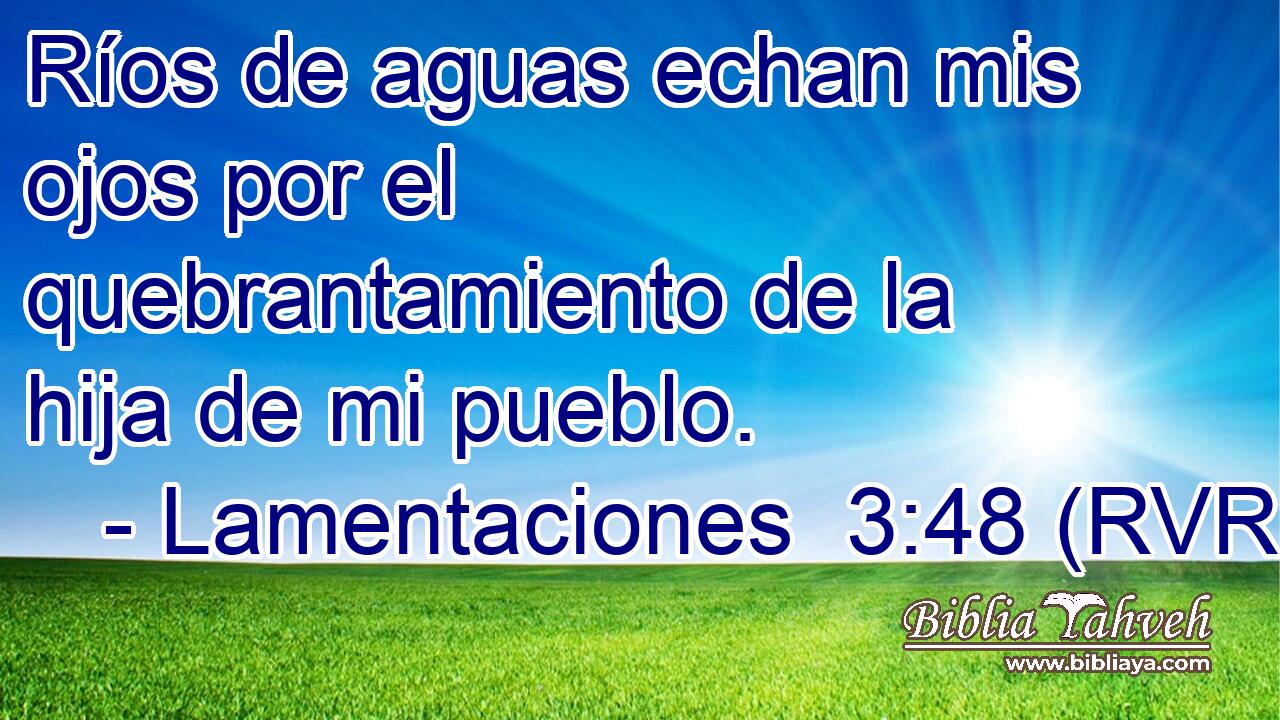Ríos de aguas echan mis ojos por el quebrantamiento de la hija de mi pueblo.