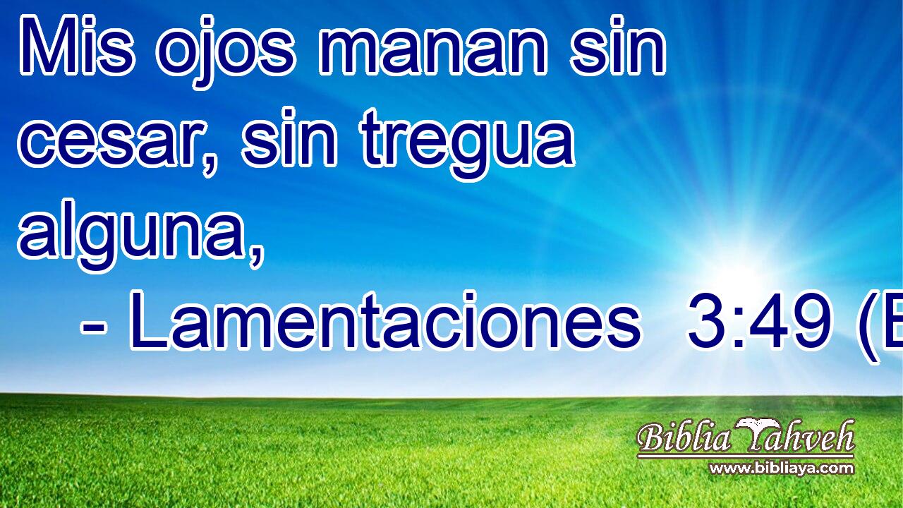 Mis ojos manan sin cesar, sin tregua alguna,