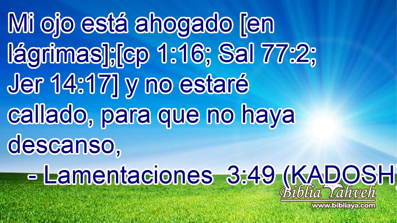  Mi ojo está ahogado [en lágrimas];[cp 1:16; Sal 77:2; Jer 14:17] y no estaré callado, para que no haya descanso, 