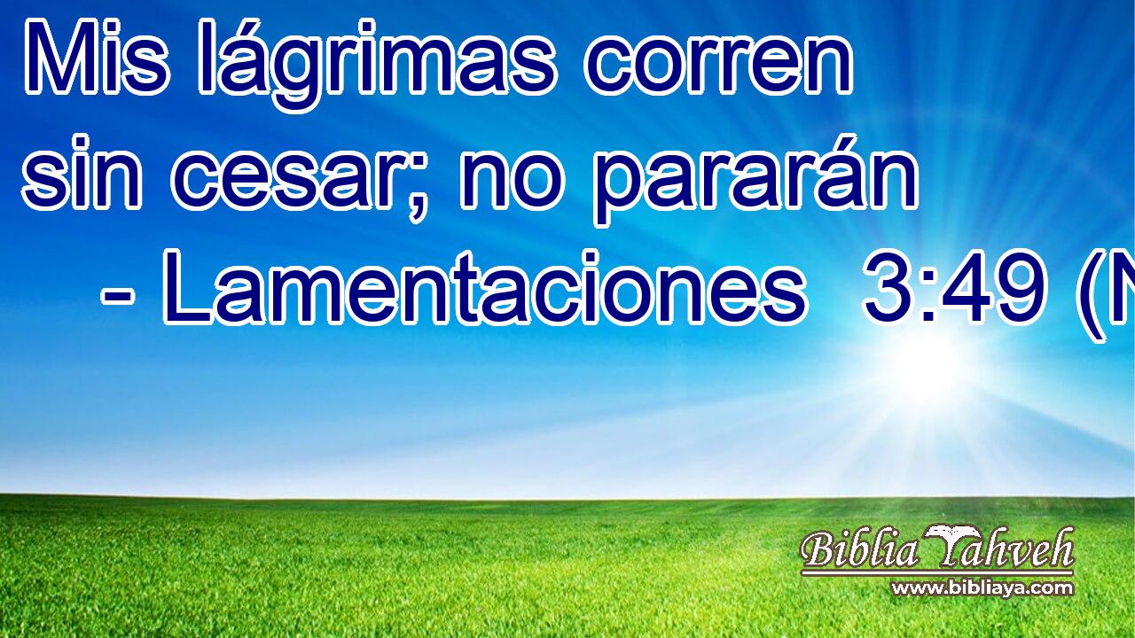 Mis lágrimas corren sin cesar; no pararán