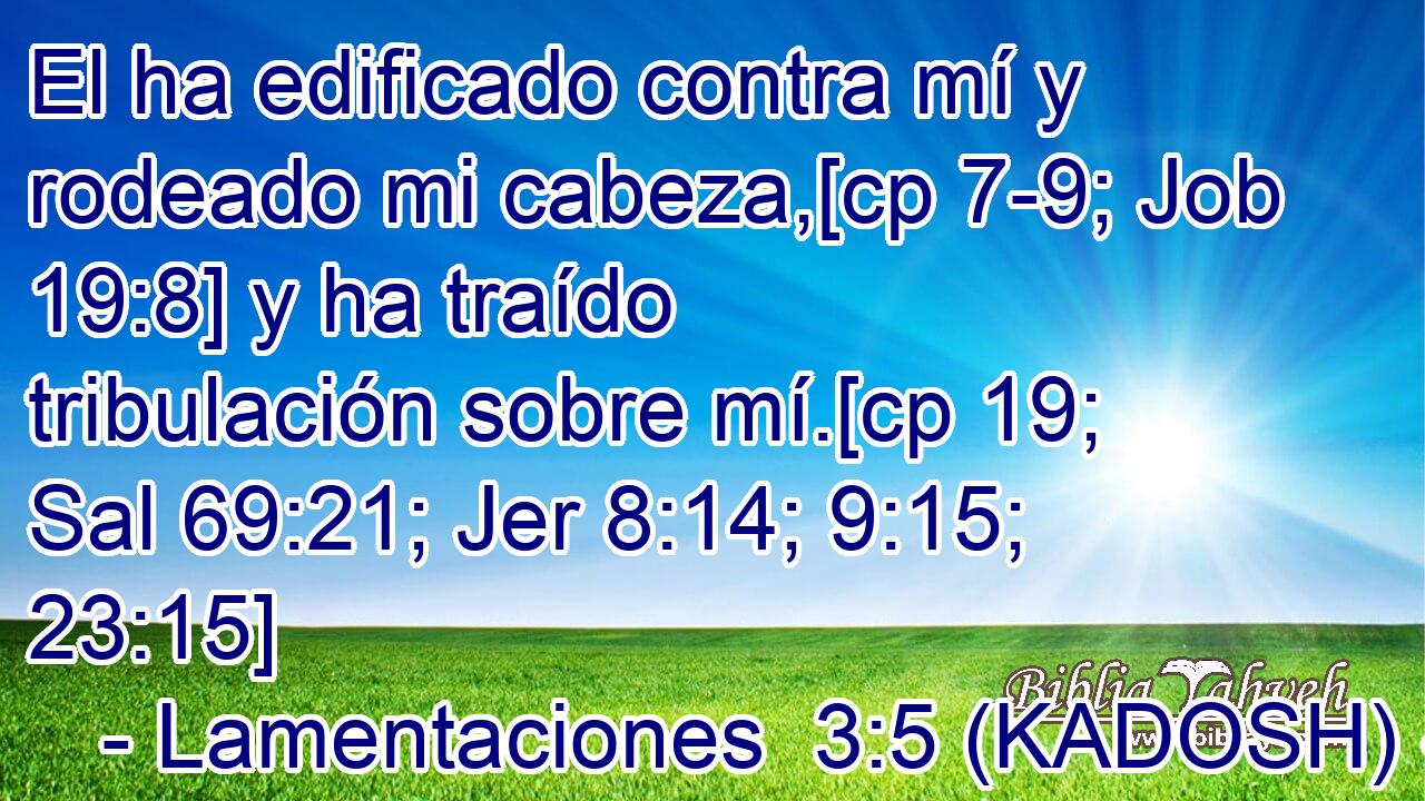  El ha edificado contra mí y rodeado mi cabeza,[cp 7-9; Job 19:8] y ha traído tribulación sobre mí.[cp 19; Sal 69:21; Jer 8:14; 9:15; 23:15] 