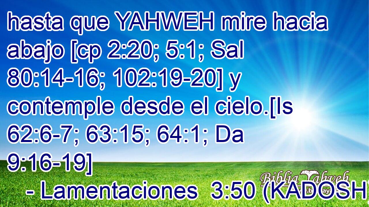  hasta que YAHWEH mire hacia abajo [cp 2:20; 5:1; Sal 80:14-16; 102:19-20] y contemple desde el cielo.[Is 62:6-7; 63:15; 64:1; Da 9:16-19] 