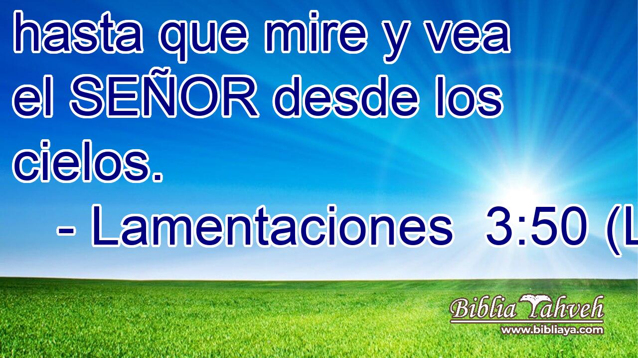 hasta que mire y vea el SEÑOR desde los cielos.