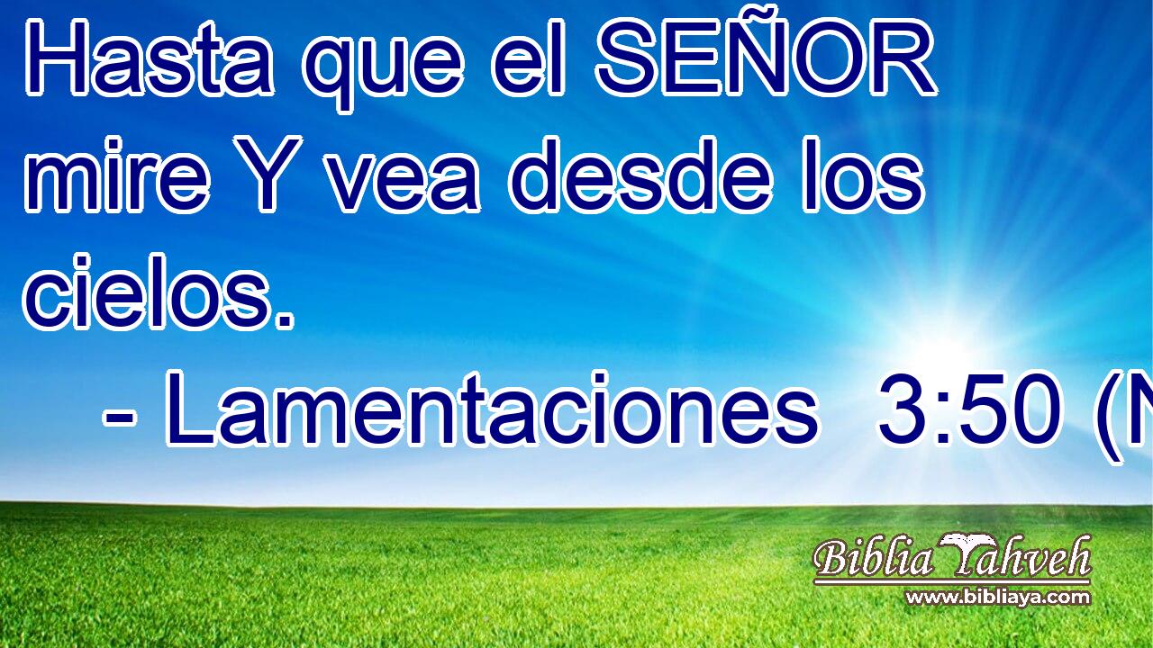  Hasta que el SEÑOR mire Y vea desde los cielos. 
