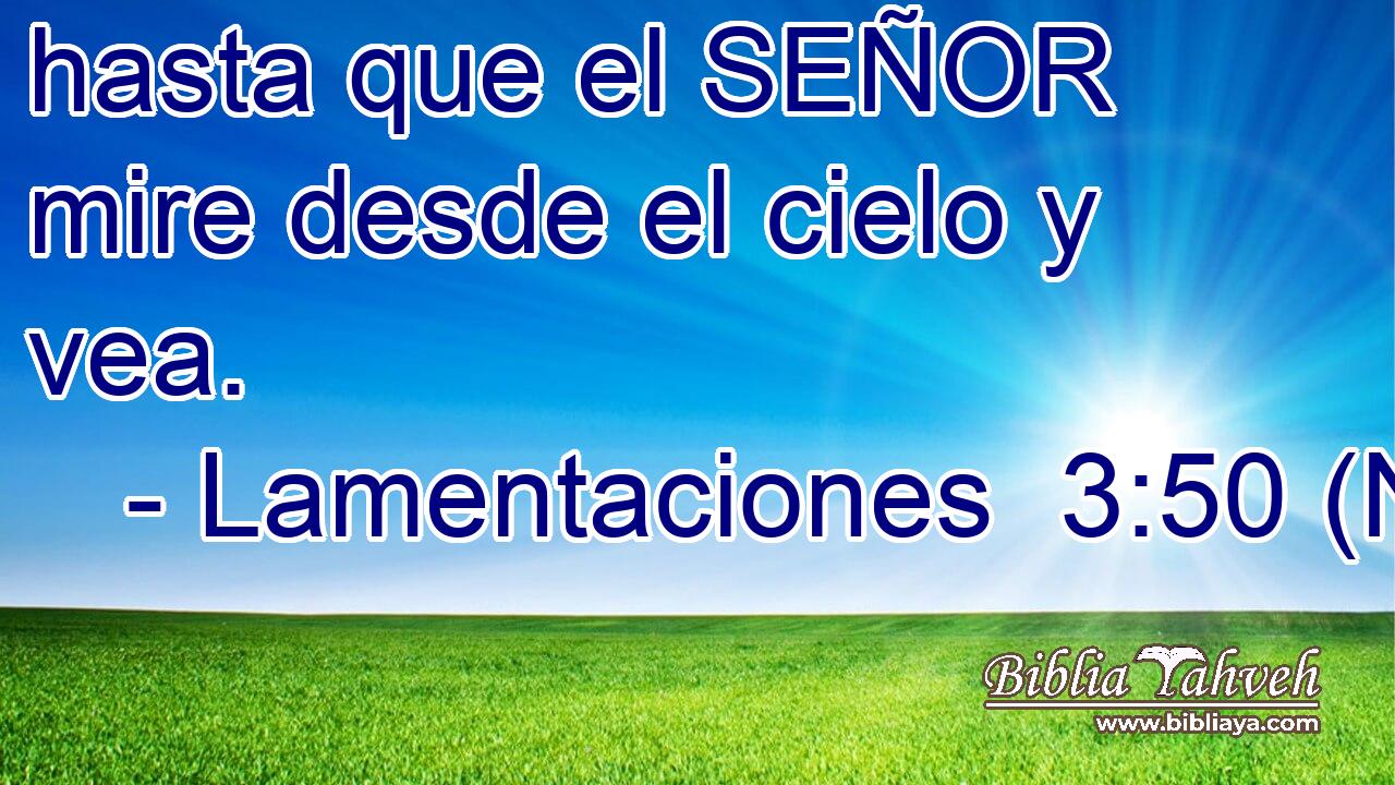 hasta que el SEÑOR mire desde el cielo y vea.