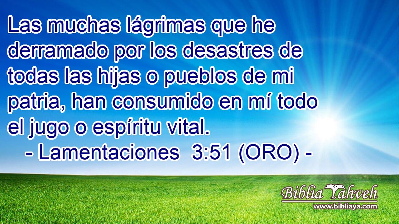  Las muchas lágrimas que he derramado por los desastres de todas las hijas o pueblos de mi patria, han consumido en mí todo el jugo o espíritu vital. 