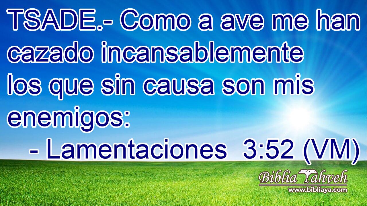  TSADE.- Como a ave me han cazado incansablemente los que sin causa son mis enemigos: 