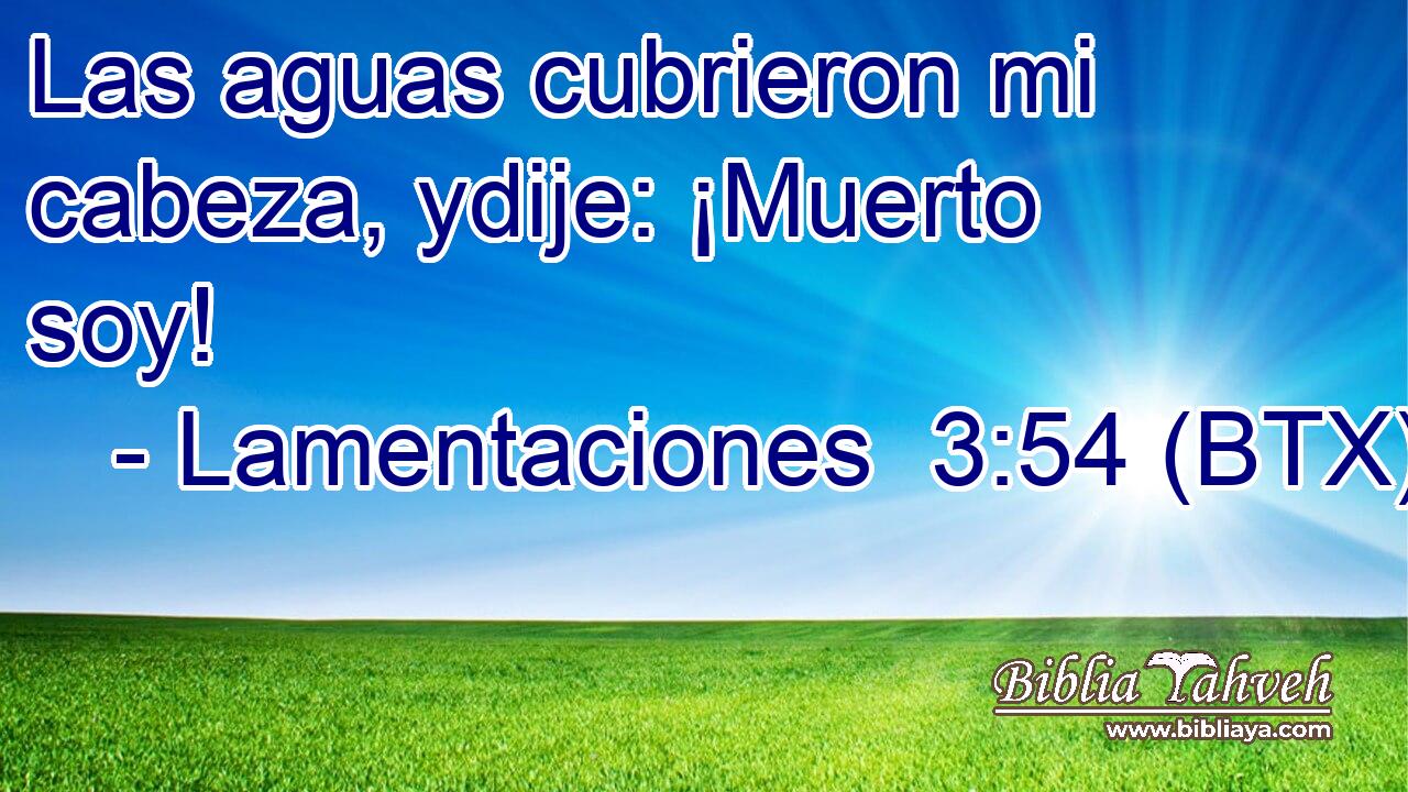 Las aguas cubrieron mi cabeza, ydije: ¡Muerto soy!