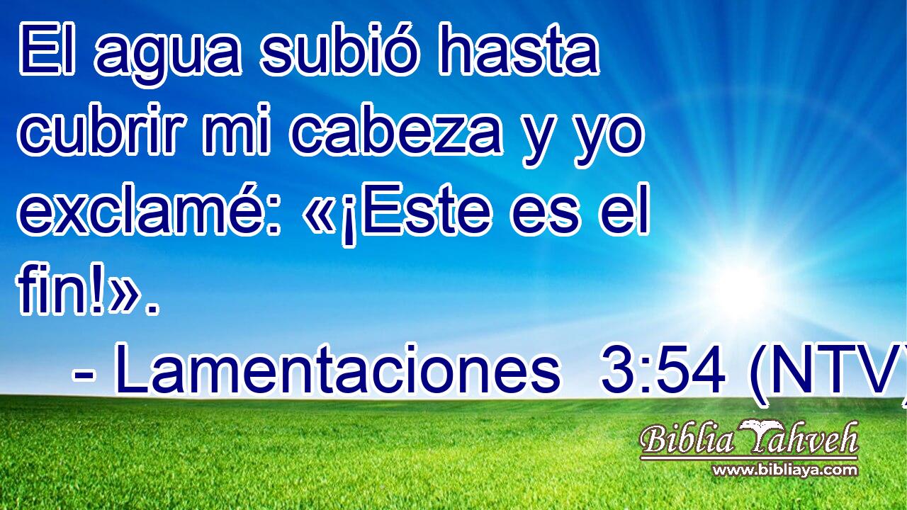 El agua subió hasta cubrir mi cabeza y yo exclamé: «¡Este es el fin!».