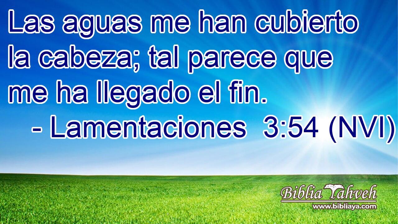  Las aguas me han cubierto la cabeza; tal parece que me ha llegado el fin. 