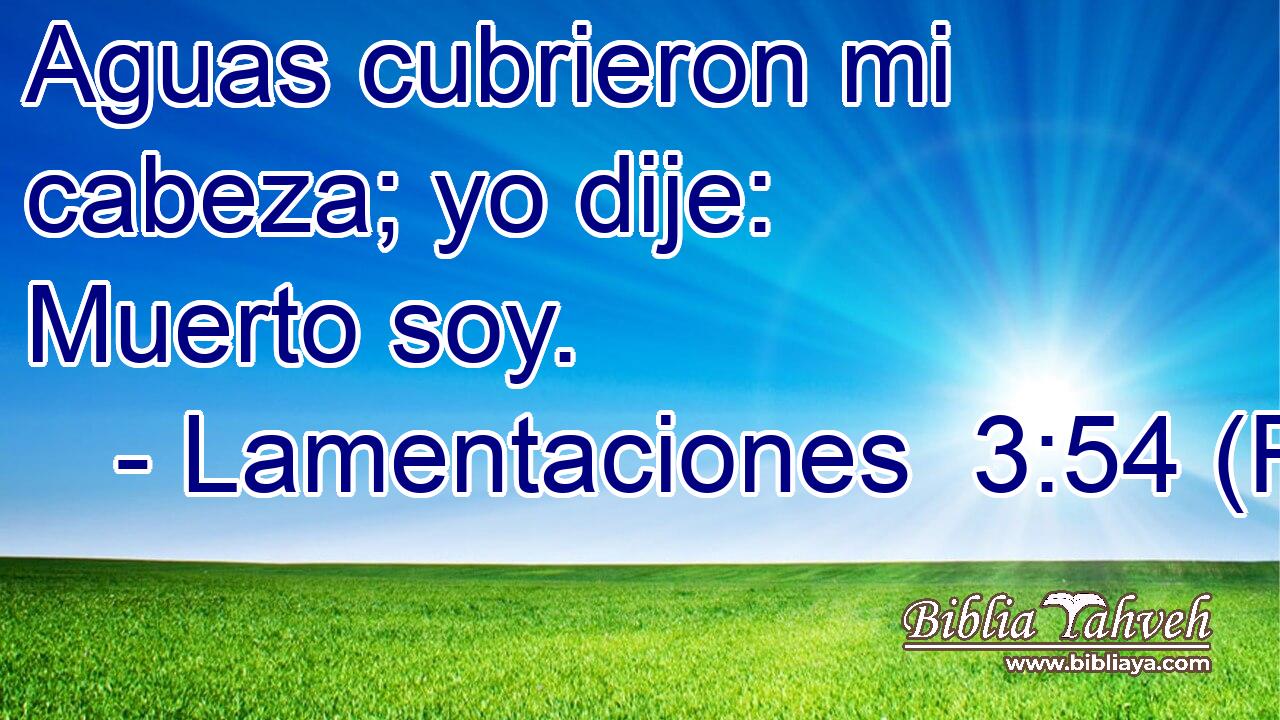Aguas cubrieron mi cabeza; yo dije: Muerto soy.