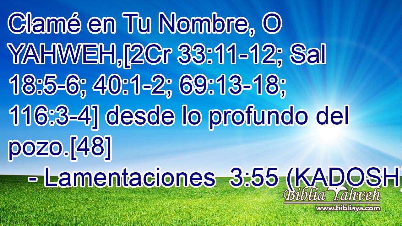  Clamé en Tu Nombre, O YAHWEH,[2Cr 33:11-12; Sal 18:5-6; 40:1-2; 69:13-18; 116:3-4] desde lo profundo del pozo.[48] 