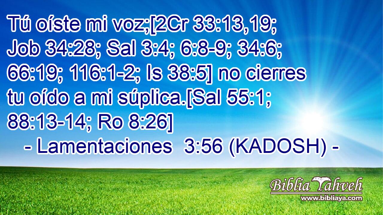  Tú oíste mi voz;[2Cr 33:13,19; Job 34:28; Sal 3:4; 6:8-9; 34:6; 66:19; 116:1-2; Is 38:5] no cierres tu oído a mi súplica.[Sal 55:1; 88:13-14; Ro 8:26] 