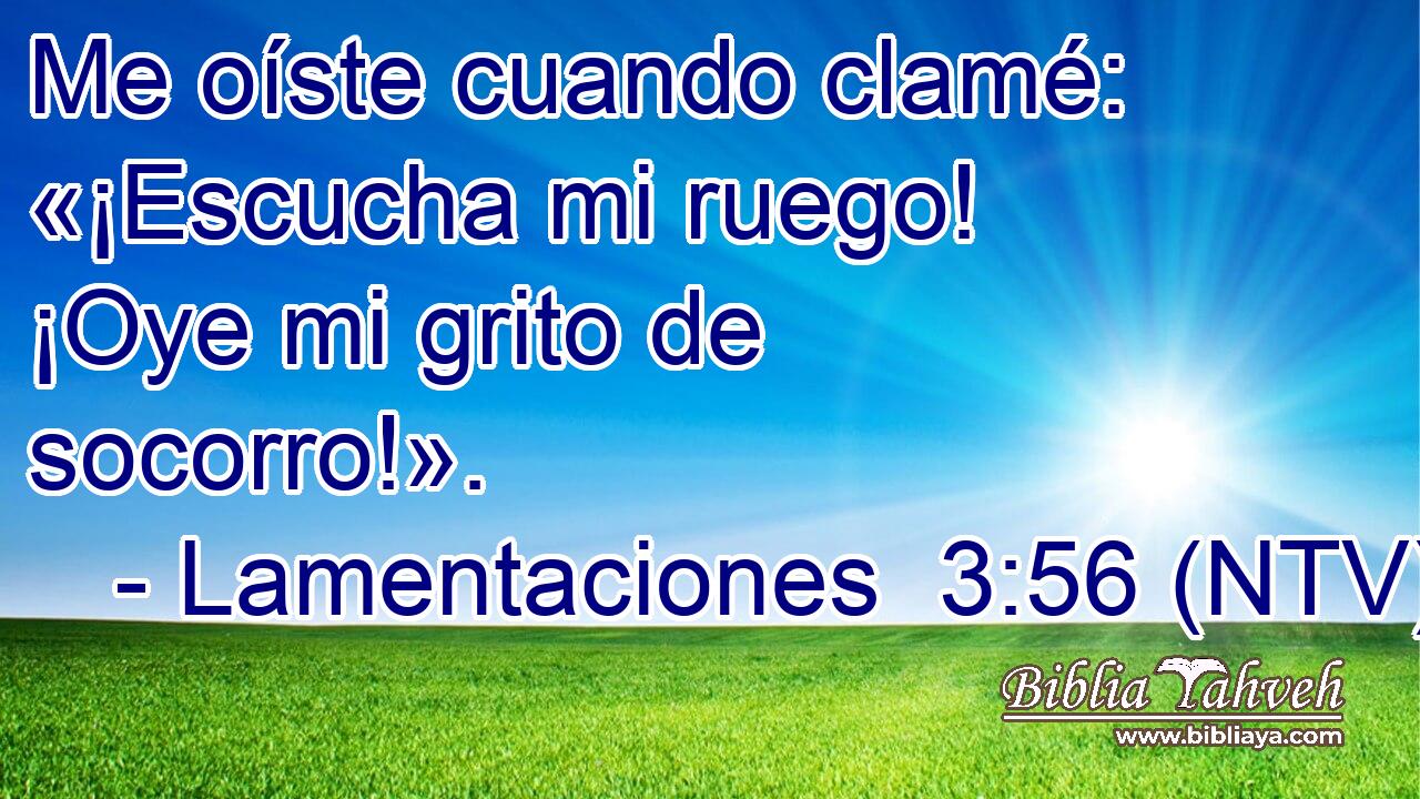 Me oíste cuando clamé: «¡Escucha mi ruego! ¡Oye mi grito de socorro!».