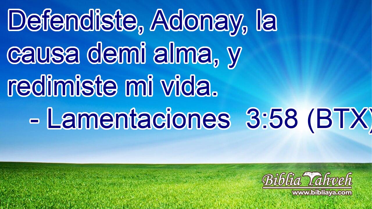 Defendiste, Adonay, la causa demi alma, y redimiste mi vida.