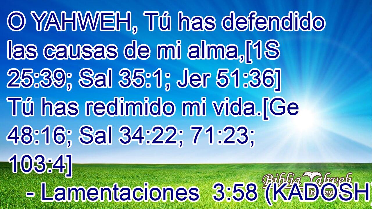  O YAHWEH, Tú has defendido las causas de mi alma,[1S 25:39; Sal 35:1; Jer 51:36] Tú has redimido mi vida.[Ge 48:16; Sal 34:22; 71:23; 103:4] 