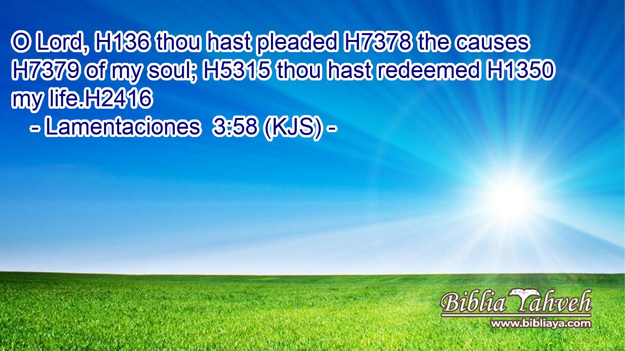 O Lord, H136 thou hast pleaded H7378 the causes H7379 of my soul; H5315 thou hast redeemed H1350 my life.H2416