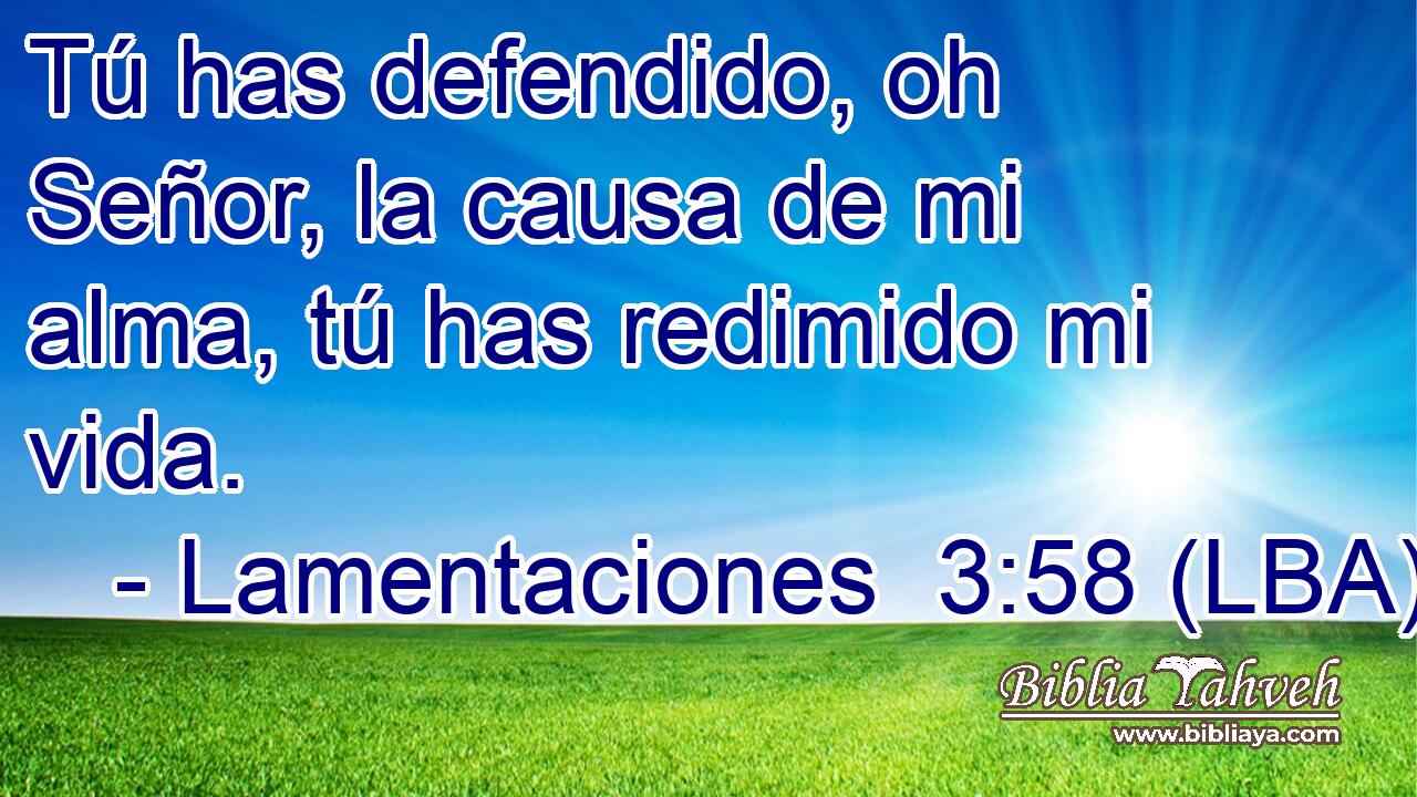 Tú has defendido, oh Señor, la causa de mi alma, tú has redimido mi vida.