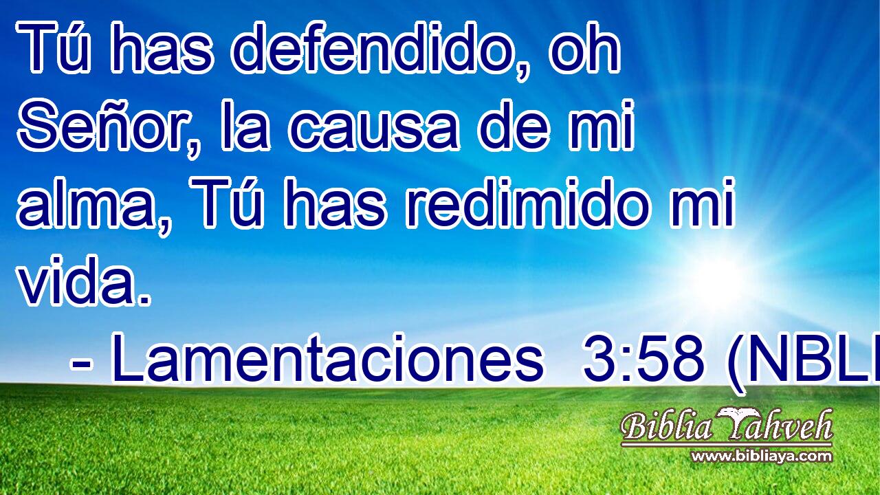  Tú has defendido, oh Señor, la causa de mi alma, Tú has redimido mi vida. 