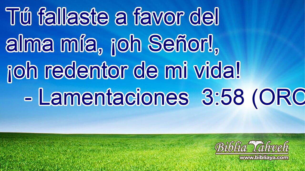  Tú fallaste a favor del alma mía, ¡oh Señor!, ¡oh redentor de mi vida! 
