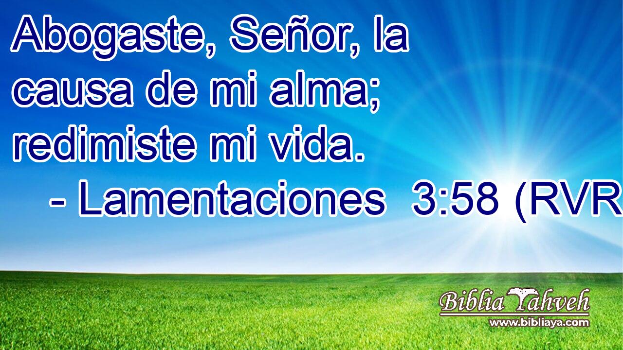 Abogaste, Señor, la causa de mi alma; redimiste mi vida.