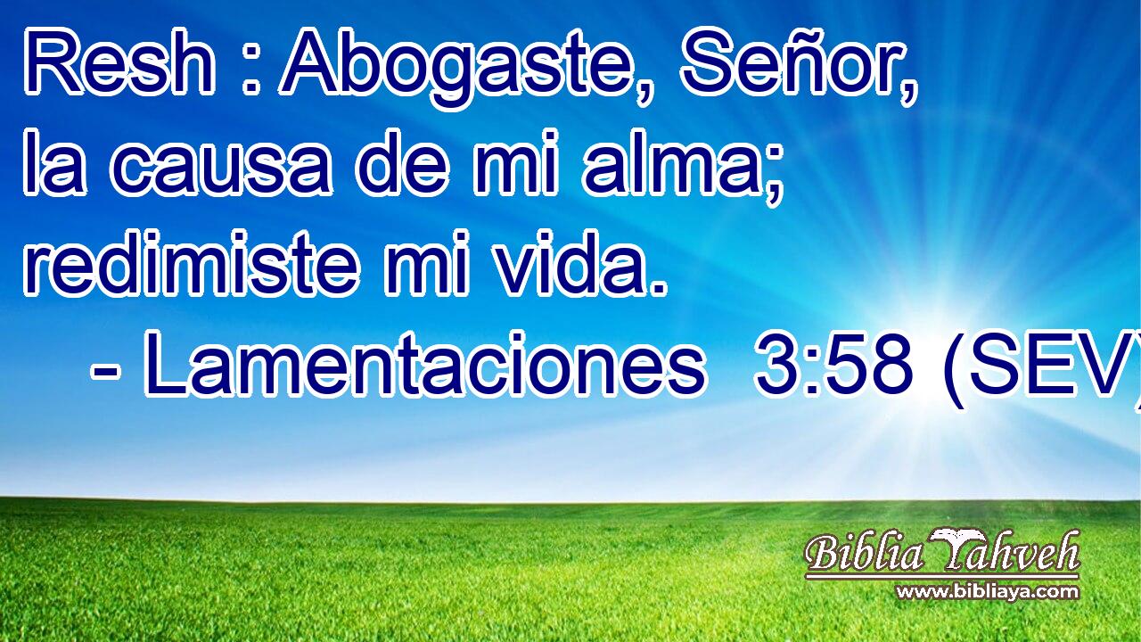 Resh : Abogaste, Señor, la causa de mi alma; redimiste mi vida.