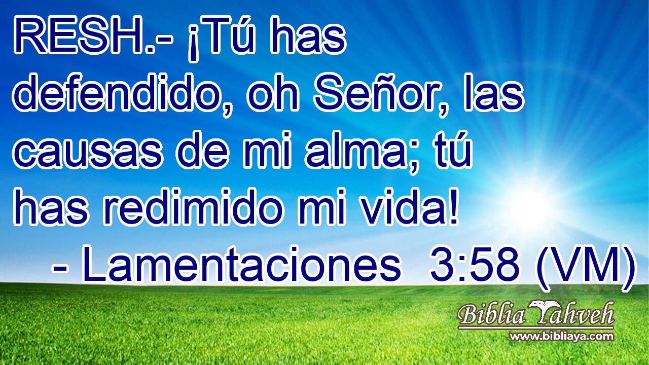  RESH.- ¡Tú has defendido, oh Señor, las causas de mi alma; tú has redimido mi vida! 