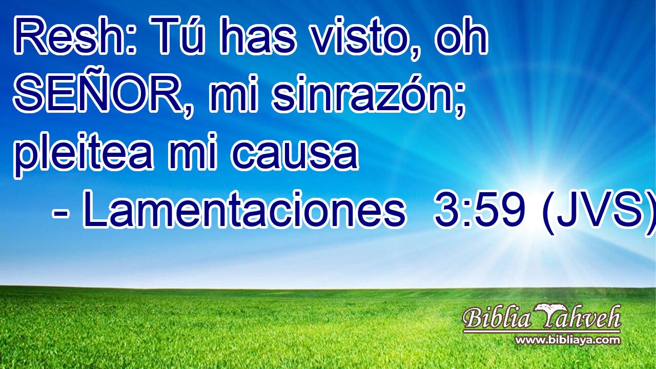 Resh: Tú has visto, oh SEÑOR, mi sinrazón; pleitea mi causa