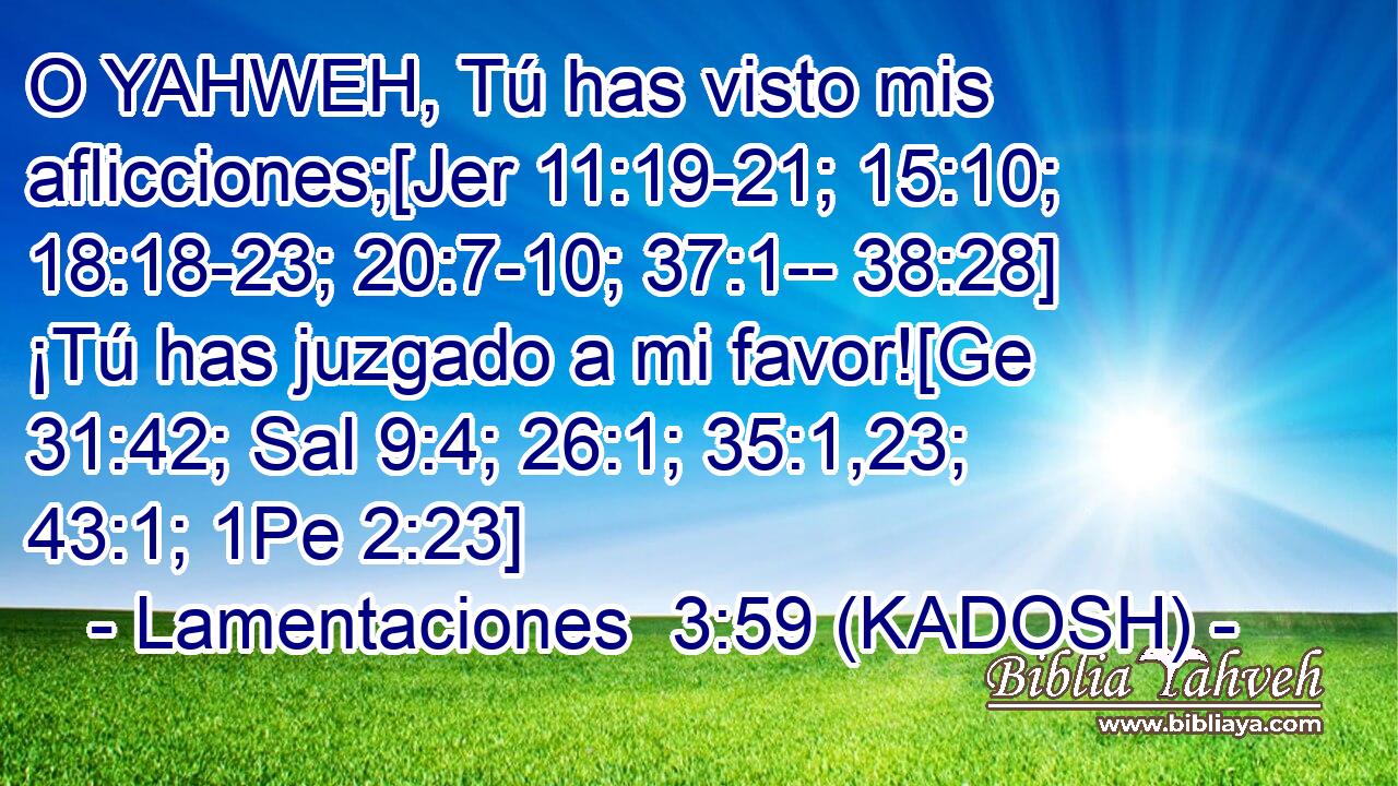  O YAHWEH, Tú has visto mis aflicciones;[Jer 11:19-21; 15:10; 18:18-23; 20:7-10; 37:1-- 38:28] ¡Tú has juzgado a mi favor![Ge 31:42; Sal 9:4; 26:1; 35:1,23; 43:1; 1Pe 2:23] 