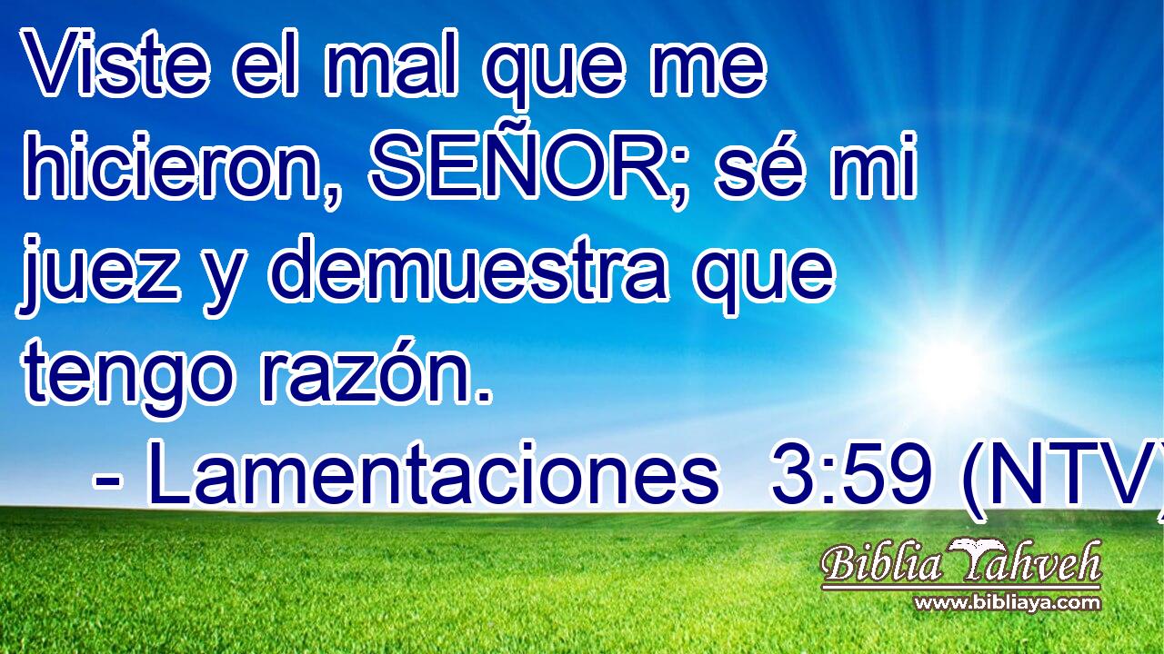 Viste el mal que me hicieron, SEÑOR; sé mi juez y demuestra que tengo razón.
