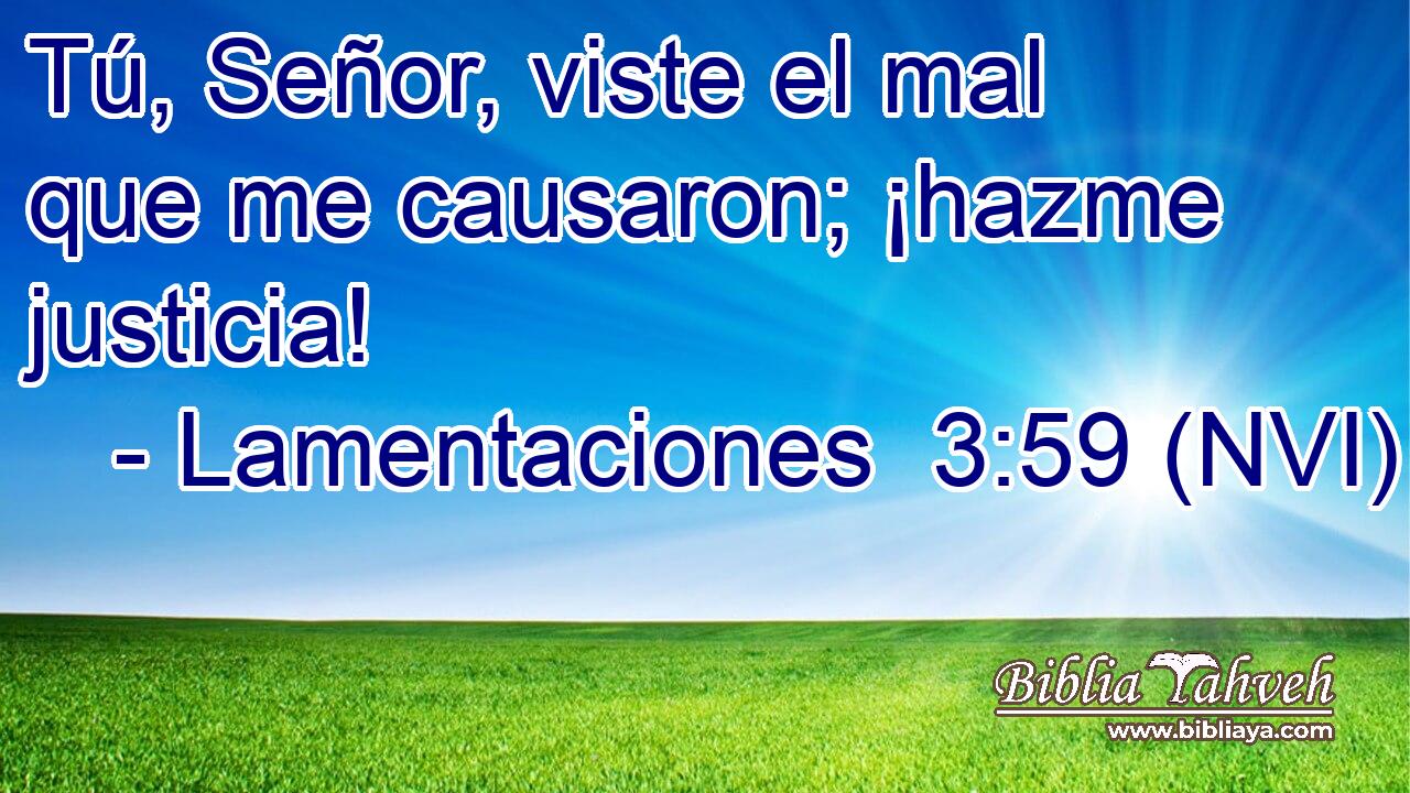  Tú, Señor, viste el mal que me causaron; ¡hazme justicia! 